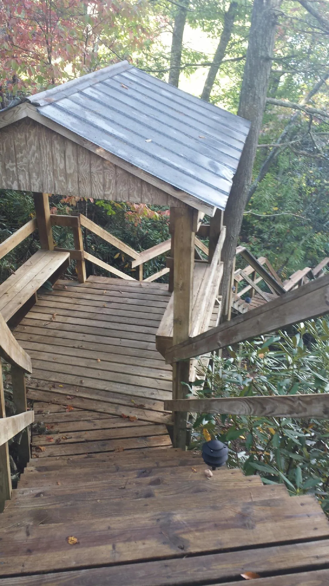 Metal roofed shelter over wooden steps on a wooded walkway in Conrad